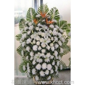 心祭-白菊57朵，白玫瑰13朵，白百合3枝，马蹄莲7枝，天堂鸟3枝