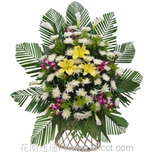 心灵的羁绊-白菊花、黄百合，绿叶搭配,1.3米左右花圈<葬礼花圈>