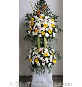 梅含孝意-黄菊，白菊，百合绿叶搭配，双层花圈，高度约1.5米